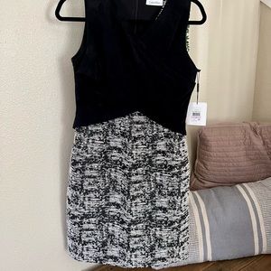 BNWT Calvin Klein Black and White Career Dress Sz 6